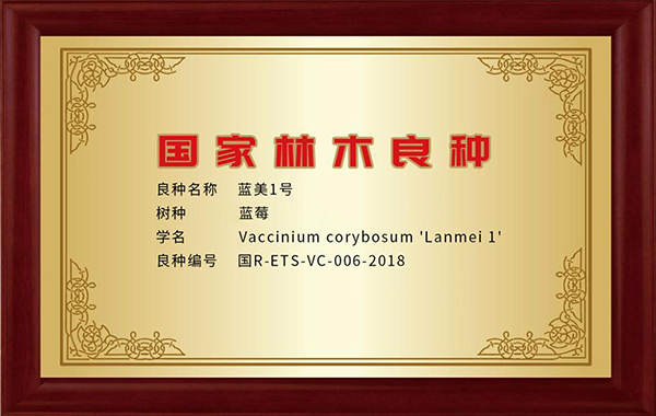 2025103018262631172036-2