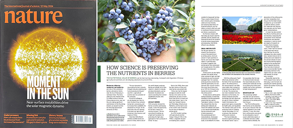 2025103018264288989704-3