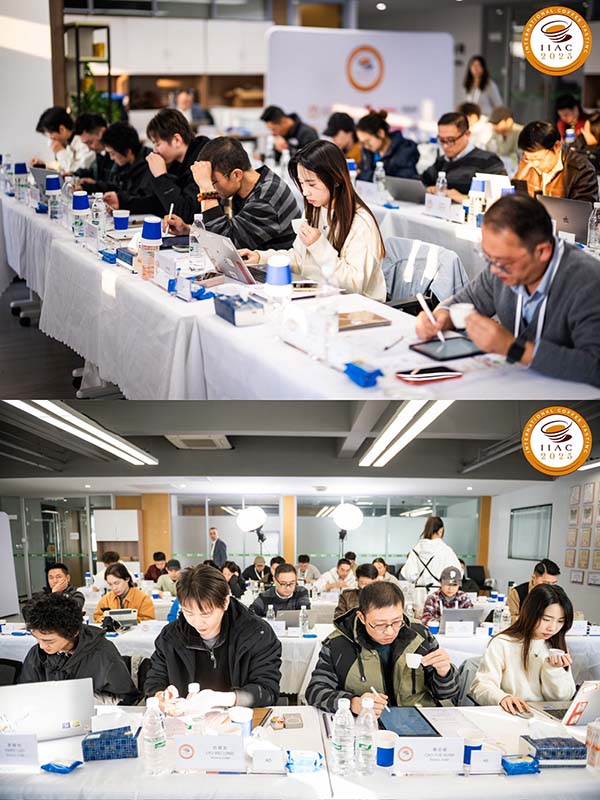 202512091707257942-6